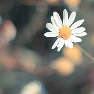 不会跑路的小黑ddos压力测试平台